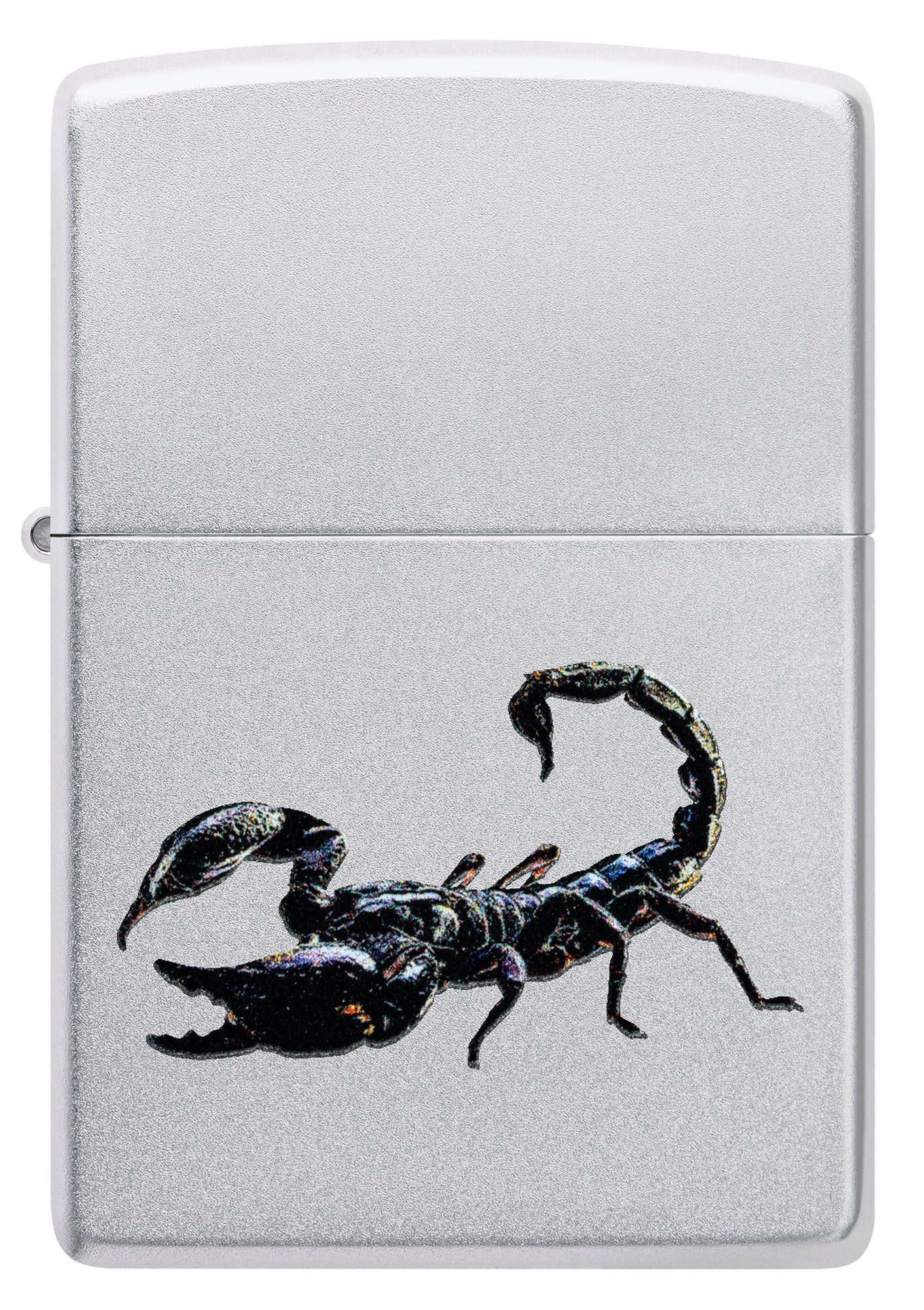 Scorpion Design