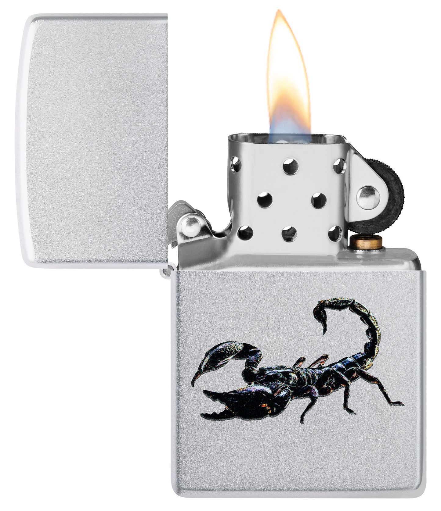 Scorpion Design