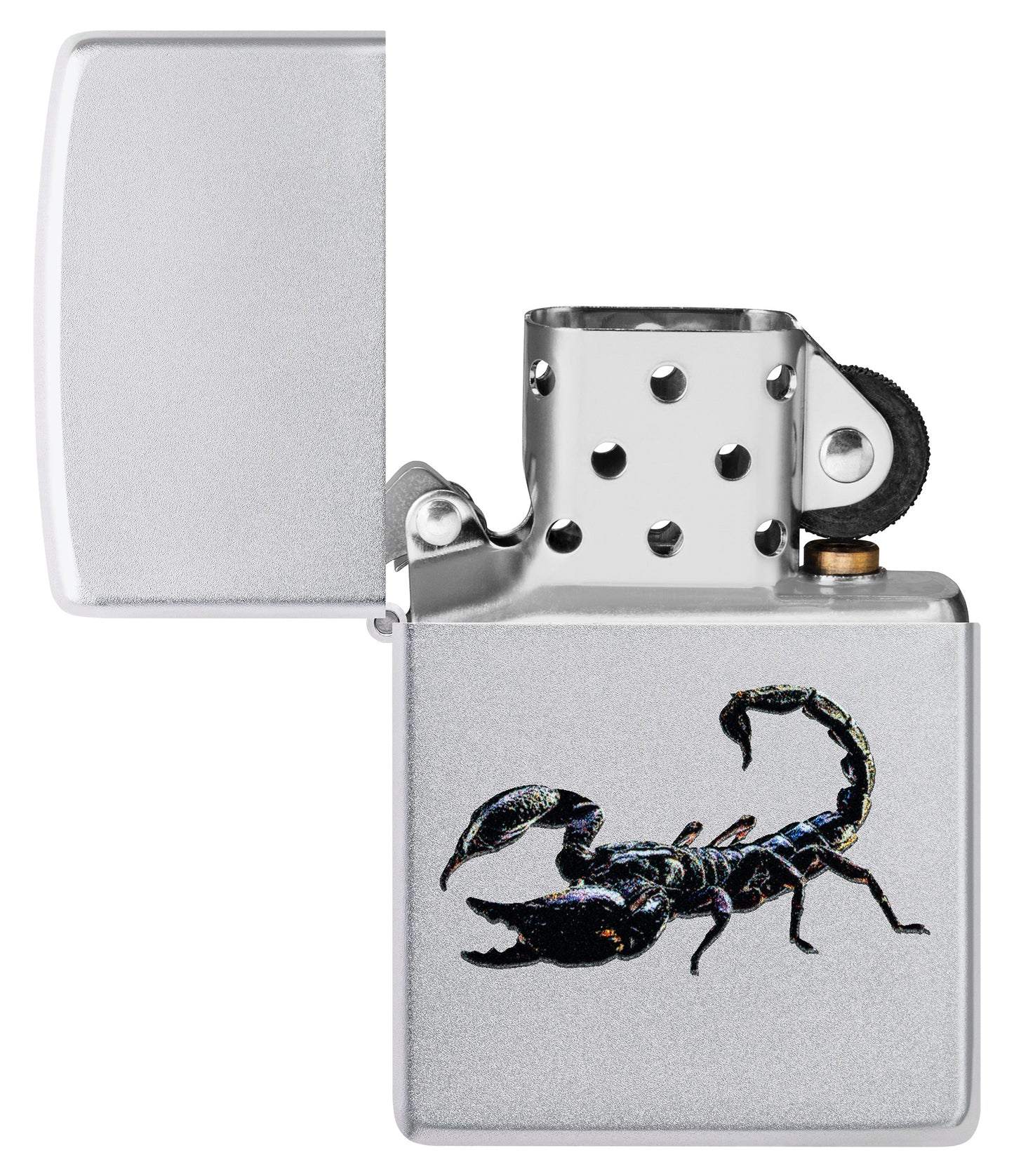 Scorpion Design