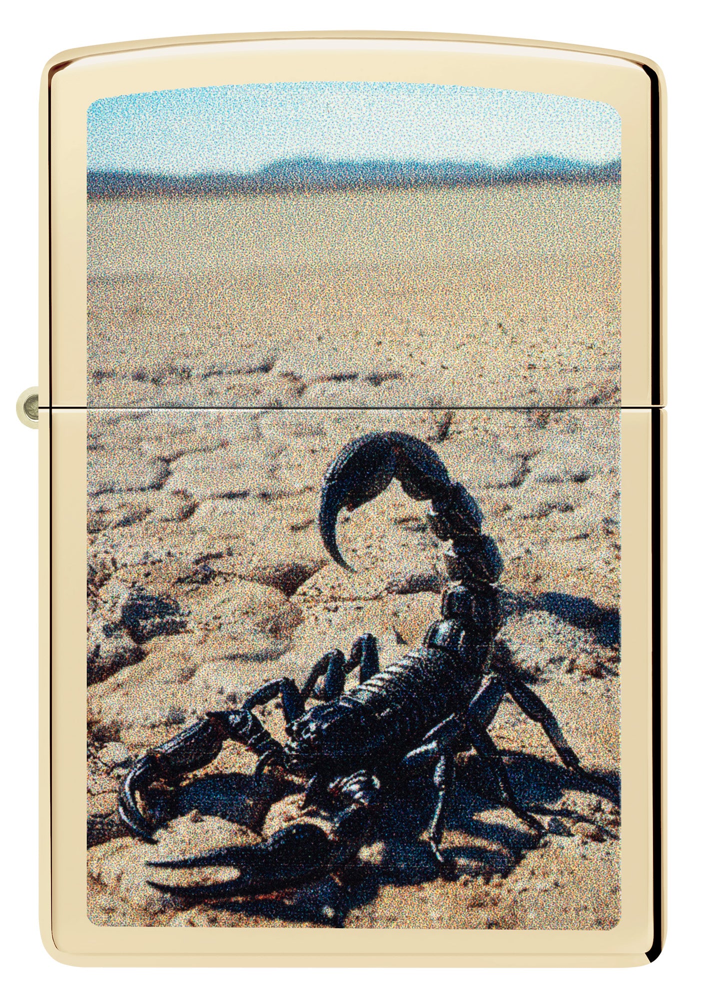 Desert Scorpion Design