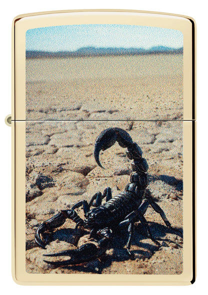 Desert Scorpion Design