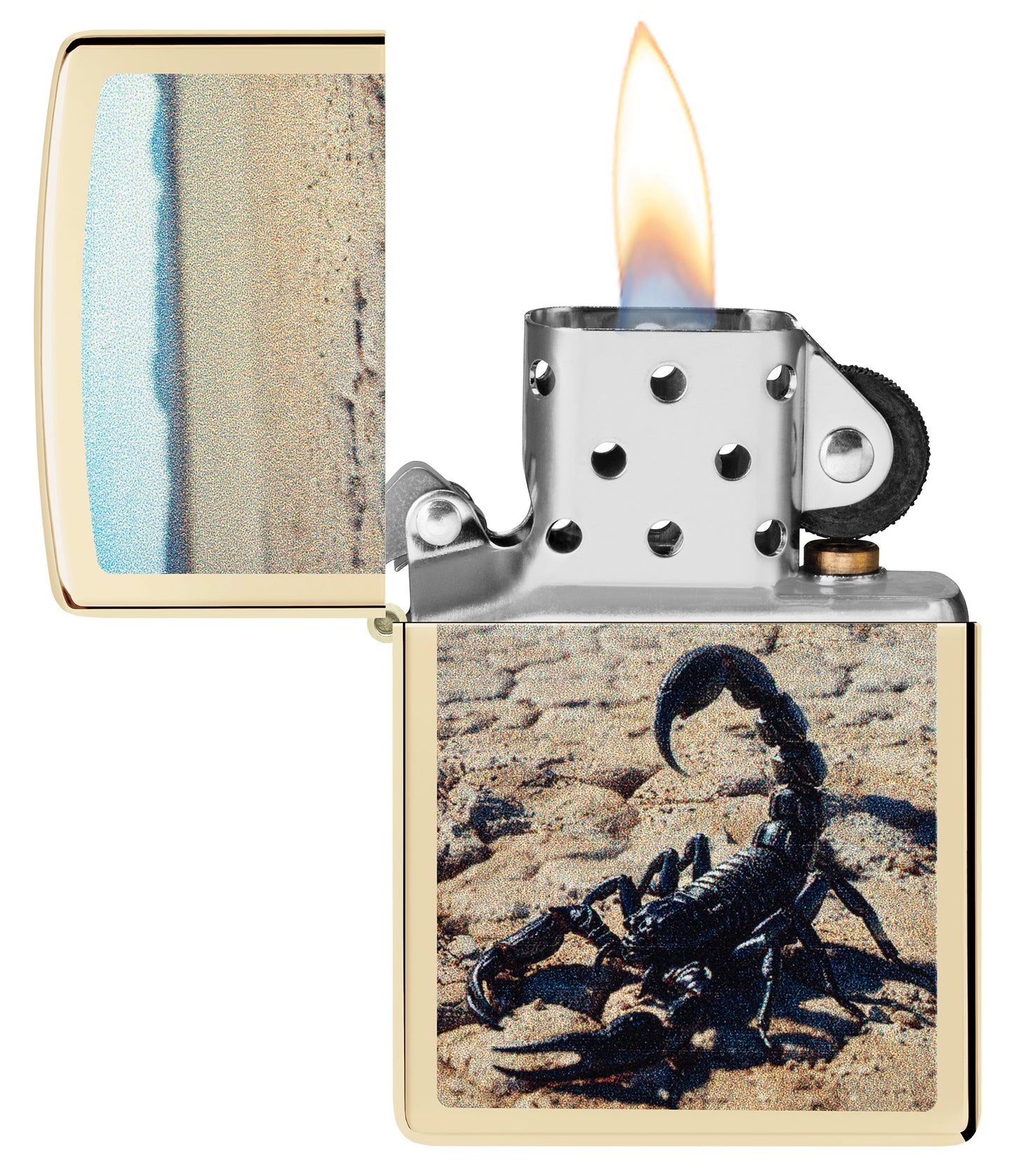 Desert Scorpion Design