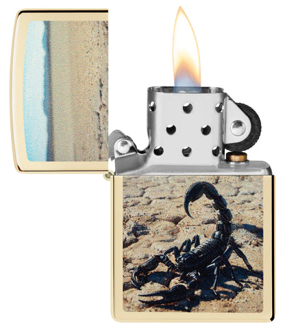 Desert Scorpion Design