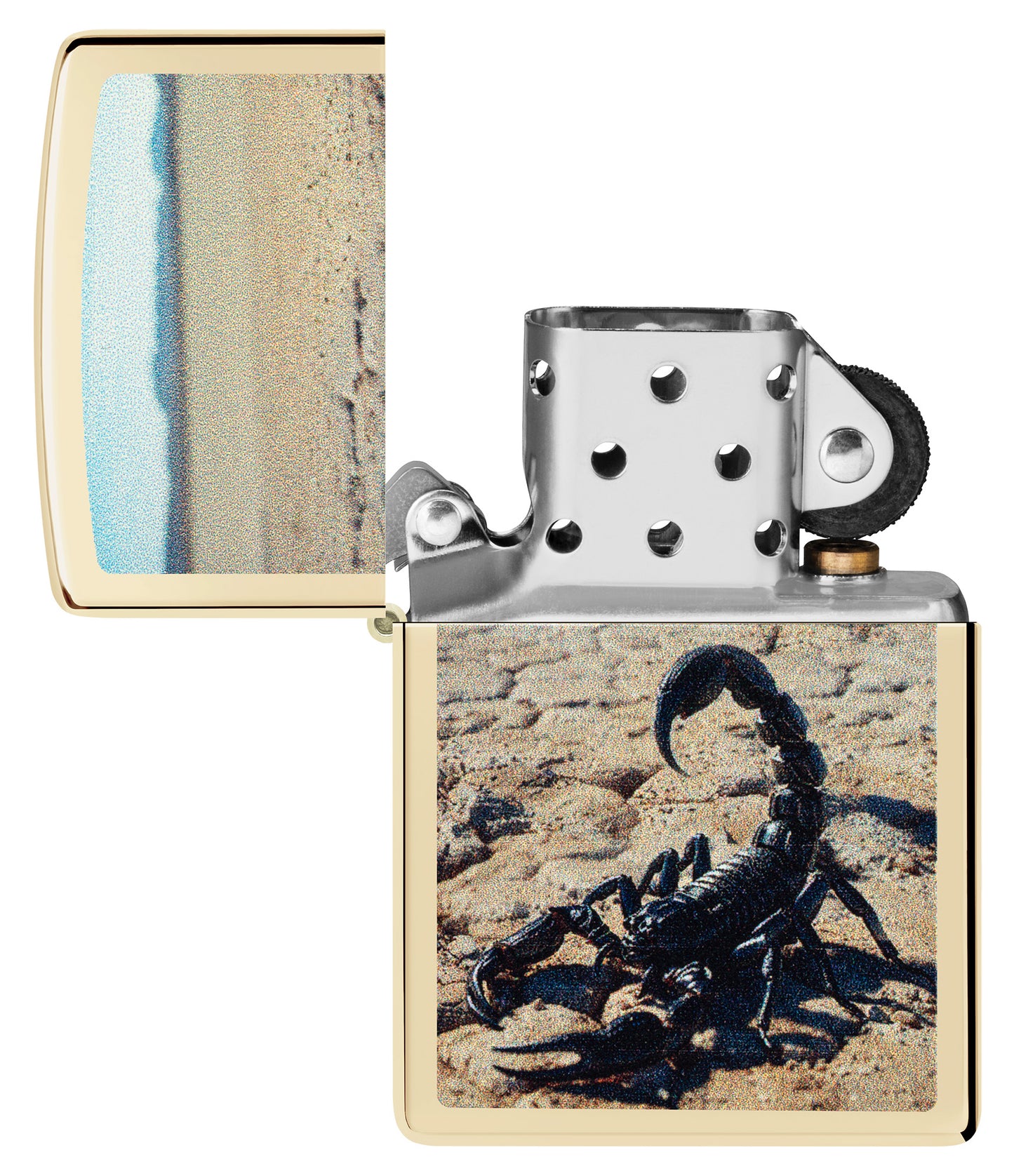 Desert Scorpion Design