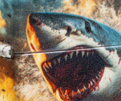 Shark Bite Design