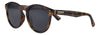 Front View 3/4 Angle Zippo Sunglasses Round Havana Brown With Black Lenses