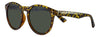 Front View 3/4 Angle Zippo Sunglasses Round Havana Brown With Green Lenses