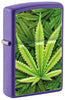 Zippo lighter front view ¾ angle purple matt with illustration of cannabis plants